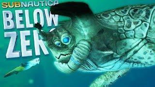 ОГРОМНЫЙ МОРСКОЙ ИМПЕРАТОР, ОБНОВЛЕНИЕ | Subnautica Below Zero