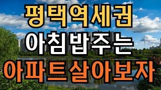 평택역세권 호텔같은 아침밥 주는 더 플래티넘 스카이헤론 아파트 분양