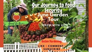 Urban Vegetable Garden Tour | June 2020 | Zone 5 | Urban Gardening