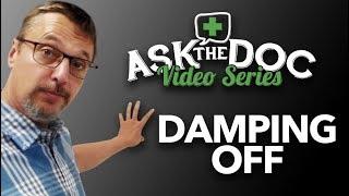 Damping Off! Prevention & Treatment: Ask the Doc - Cause of Damping off-Prevent Damping off-Symptoms