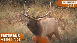 Calling in Two Bulls at Once! - Bow hunting Elk with Grizzlies