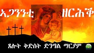 ኣጋንንቲ ዘርሕ ጸሎት ኣዴና ቅድስት ድንግል ማርያም Eritrean Orthodox Tewahdo church