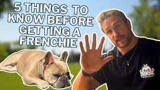 5 Things You Need To Know Before Getting A French Bulldog