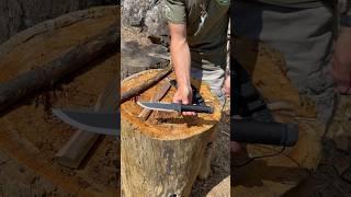 The Perfect Survival Instructor Knife? #bushcraft #survivalknife