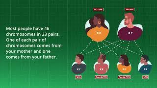 Body Blueprint: Understanding Genes and Chromosomes | Merck Manual Consumer Version