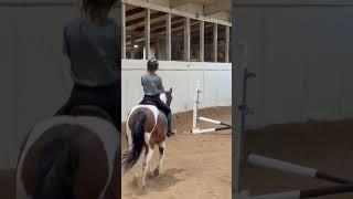 Scouts my favvvv #horse #equestrian #eq