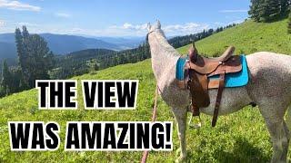 Arabian HORSE climbs a mountain ~ MONTANA trail ride POV!