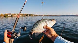 I Used a 14 Inch Crappie for Catfish Bait