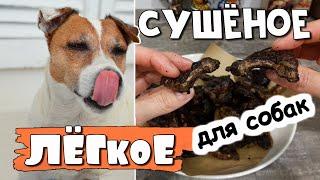 Как приготовить легкое для собак в духовке/Сушеные вкусняшки для собак своими руками