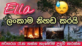 Ella Rock Fire | ඇල්ලට ඇත්තටම මොක්කුද උනේ  | Chamath Vlogs
