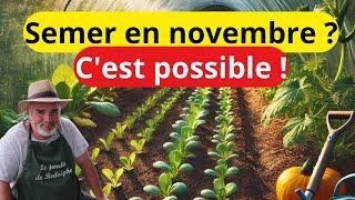 Quoi semer sous le tunnel début novembre?