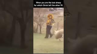 Christ The Good Shepherd | Christian Meme