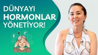 Bizi Hormonlarımız Yönetiyor! Hormon Tedavisi Nedir?