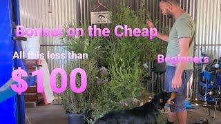 Bonsai on the cheap Part 1, Aussie Bonsai Bloke