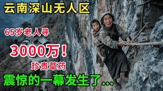 云南深山大片荒村，几百年无人敢住，只因老祖宗留下一段祖训 “只能种地不能住人”极其珍贵的草药出现了！ #奇闻逸事