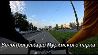 Велопрогулка до Муринского парка | 15.09.24 | 72 километра