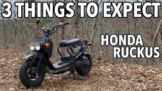 3 Things You MUST EXPECT getting HONDA RUCKUS