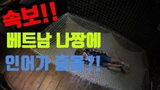 속보! 베트남 나짱에 인어가 출몰?!