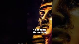 King Tut's Dark Secrets Unveiled #shortsvideo #short #shorts #dark #dark #edu #celebrity #shortsfeed