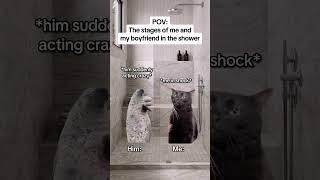 CAT MEMES The stages of me and my boyfriend in the shower #catmemes #relatable #relationship