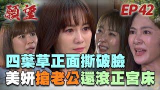 願望 EP42 完整版｜四葉草撕破臉！美妍當三被抓包 姊妹情不復返！兩人竟是舊識 世賢稱碧玉為「很要好的朋友」？！｜Desires｜【蘿琳亞塑身衣】