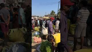 Whole sale vasai ka sabji  market … #reels #viral #follow #food #shortsvideo #subscribe #sabji