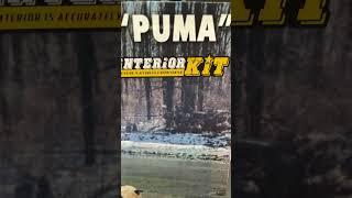 Kit of the year?  Find out on Wednesdays First Impressions #miniart #puma