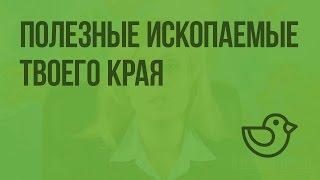 Полезные ископаемые твоего края. Видеоурок по окружающему миру 4  класс