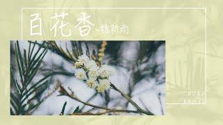 【動態歌詞】百花香—魏新雨『你就是春天裡的青草秋天裡的飛鳥 愛情海洶湧的波濤』