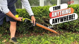 Expert Picks 7 Best Hedge Trimmers for a Perfect Lawn