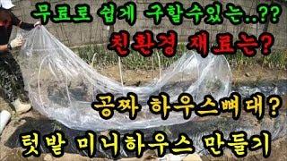 텃밭농사 미니 비닐하우스 만들기 청도달콤한농장