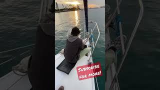 Anchor UP! #shorts #catalina30 #sailboat #sailing #sailor #anchor #eminem