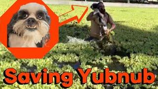 Wasted Mike Saves His Dog Yubnub  #shorts