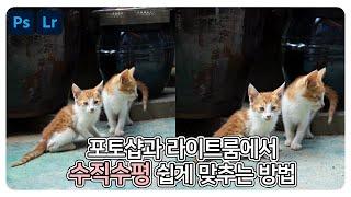 포토샵과 라이트룸에서 수직수평 맞추는 방법