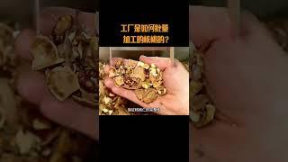 工厂是如何批量加工的核桃的？#核桃 #核桃仁 #琥珀核桃仁 #制作过程