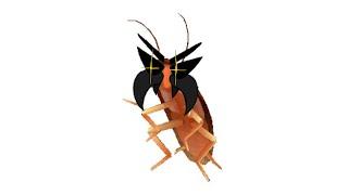 cassandra's penilian sings the dancing cockroach meme - takeover