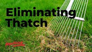 Neutrog TV | Eliminating Thatch + Sudden Impact For Lawns