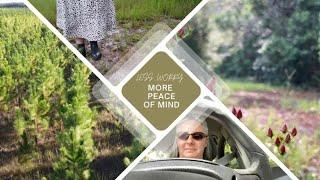 Practical Tips for dealing with worry and anxiety