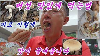 사각 사각 씹는맛이 일품인 맛좋은버섯 #흰그물쓴맛그물버섯