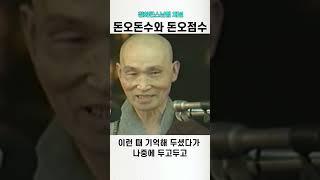 돈오돈수와 돈오점수 청화스님 법문