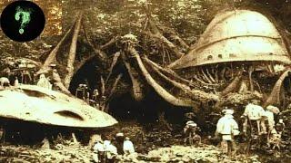 Alien-Tech Recovered From Jungle?