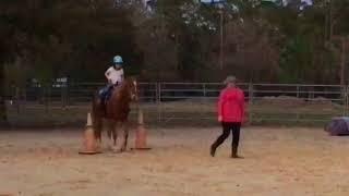 Tilden Horseback Lesson 1