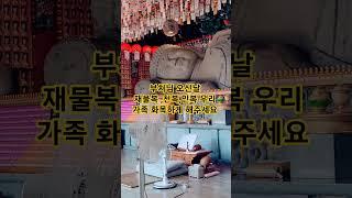 소원성취 기도 발원문 #부처님오신날 #재물복 #천복 #인복 #출처는 소원성취 #가족건강기원 #업장소멸  나무관세음보살 인복을 주시고 업장을 소멸시커 주세요