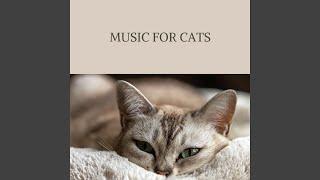 Music For Cats