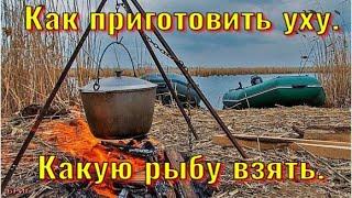 Как приготовить уху. Какую рыбу взять.