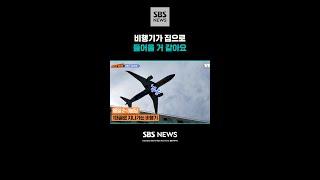 비행기가 집으로 들어올 거 같아요 / 일단가봐 / #shorts