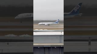 ANA 787-8 Rainy Landing | Dulles Airport