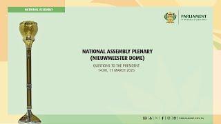 NATIONAL ASSEMBLY PLENARY, 11 March 2025