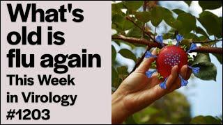 TWiV 1203: What's old is flu again