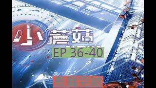 36-40  有聲書 《小蘑菇》丨末世丨一十四洲丨锦鲤X桑毓泽领衔丨多人有声剧丨全球华语科幻星云奖長篇完結有聲小說 | 小蘑菇